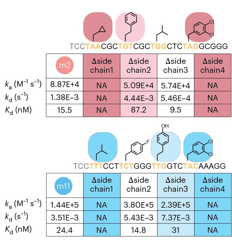 Open access visualization of Table Image, Chemical Structure, SPR Kinetic Parameters, Association Rate Constant, Dissociation Rate Constant
