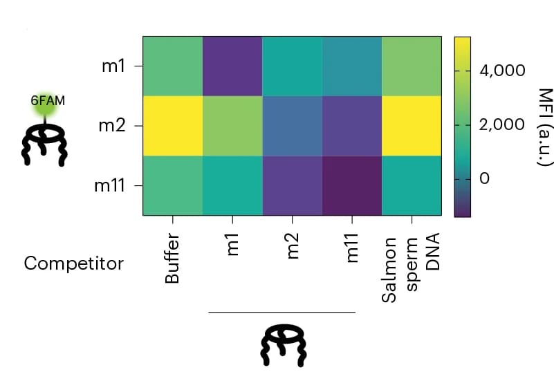 Open access visualization of Heatmap, Competition ELISA Assay, Binding Specificity, FNAPs, Multivalent Selection