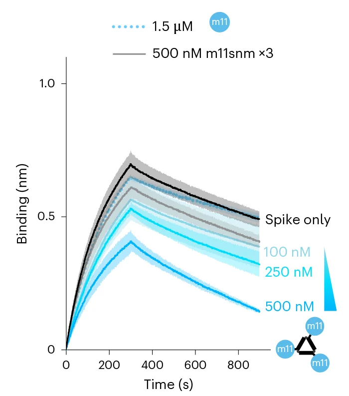 Open access visualization of Line Plot, Error Bars, Competition BLI Sensorgrams, Spike Protein, ACE2-Fc