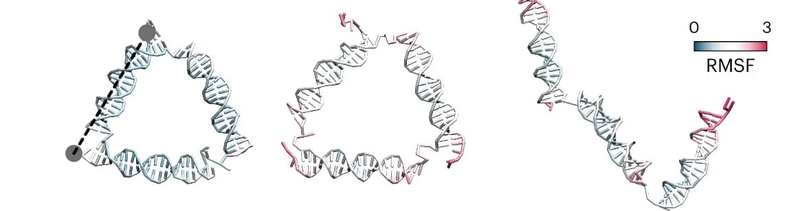 Open access visualization of Protein Structure, 3D Plot, oxDNA Models, Scaffolds, RMSF