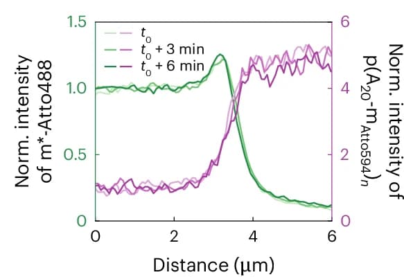 Open access visualization of Line Plot, Cross-section Profiles, Time-dependent, Distance, Intensity
