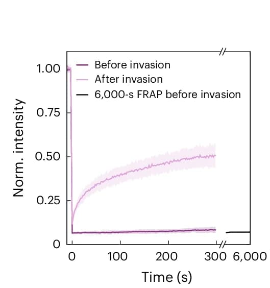 Open access visualization of Line Plot, Error Bars, Recovery Profiles, FRAP Circles, Invasion