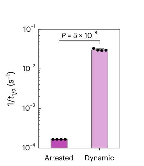 Open access visualization of Bar Plot, Error Bars, Half-recovery Time, FRAP, DNA Condensates