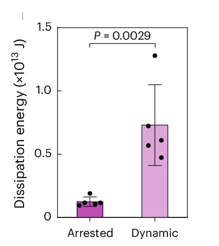 Open access visualization of Bar Plot, Error Bars, Dissipation Energy, DNA Condensates, Hysteresis