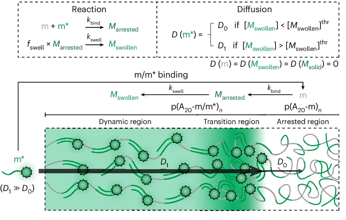 Open access visualization of Workflow, Flowchart, Illustration, Chemical Reactions, Diffusion Rules