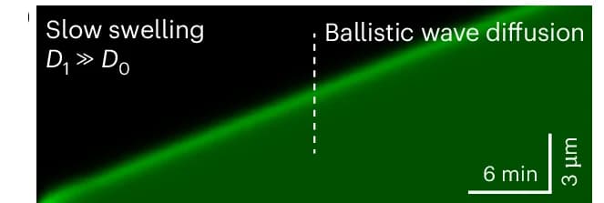 Open access visualization of Microscopy, Simulated Kymographs, Space-Time Plots, Ballistic Wave Diffusion