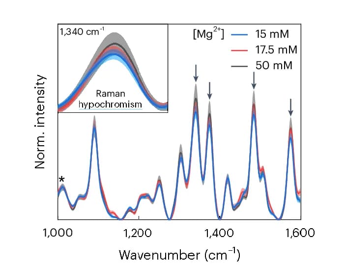 Open access visualization of Line Plot, Density Plot, Magnesium, Raman Spectroscopy, DNA Condensates