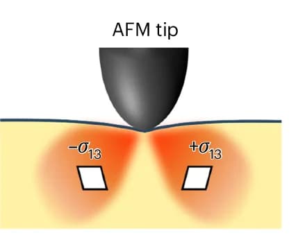 Open access visualization of Illustration, Shear Stress, AFM, Tip Loading