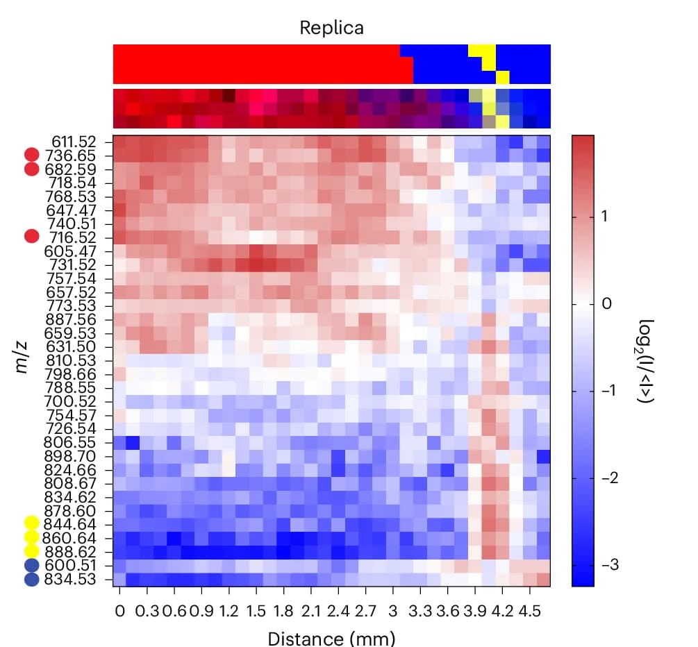 Open access visualization of Heatmap, Bar Plot, Heatmaps, Relative Abundance, Lipid Peaks