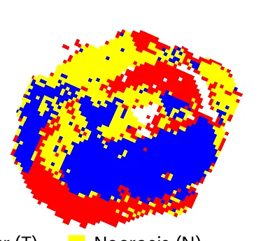 Open access visualization of Geo Map, HCA Maps, DESI-MSI Images, Section, Replica