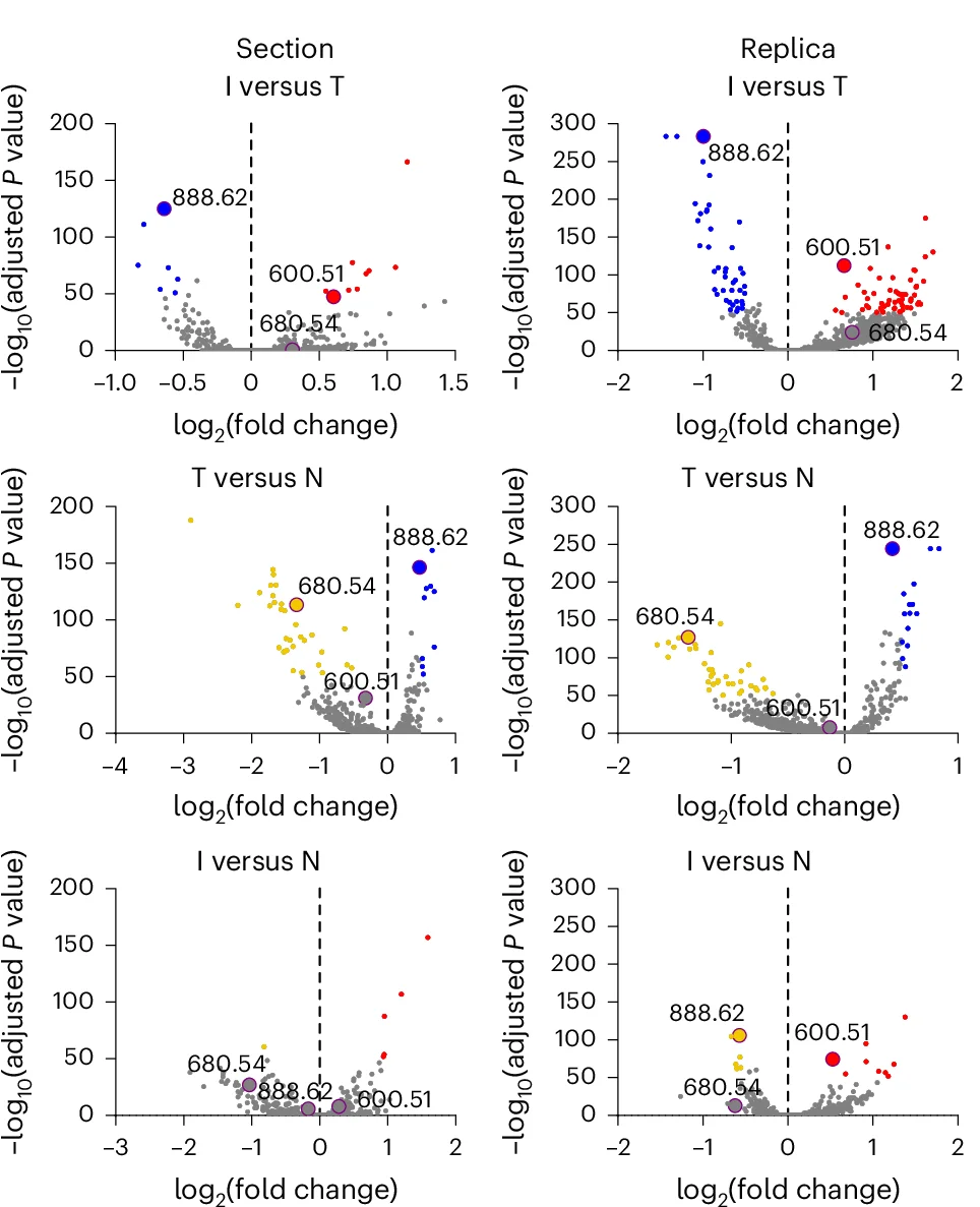 Open access visualization of Volcano Plot, Volcano Plots, Lipid Abundance Analysis, I, T