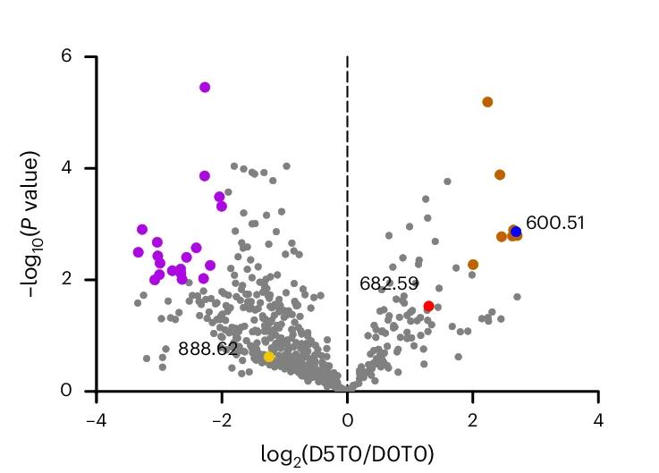 Open access visualization of Volcano Plot, Lipid Changes, Untreated Brains, White Matter, Grey Matter