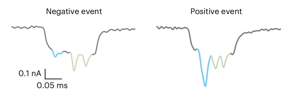 Open access visualization of Line Plot, Nanopore Current Traces, Salmonella, 16S rRNA Carrier