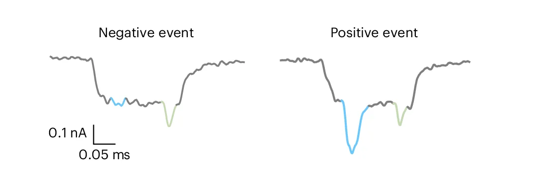 Open access visualization of Line Plot, Nanopore, Current Traces, E. Coli, A. Baumannii