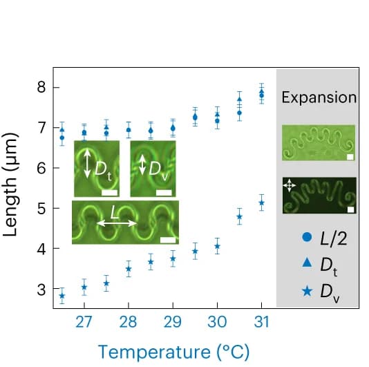Open access visualization of Scatter Plot, Error Bars, Microscopy, Temperature, Folding Periodicity