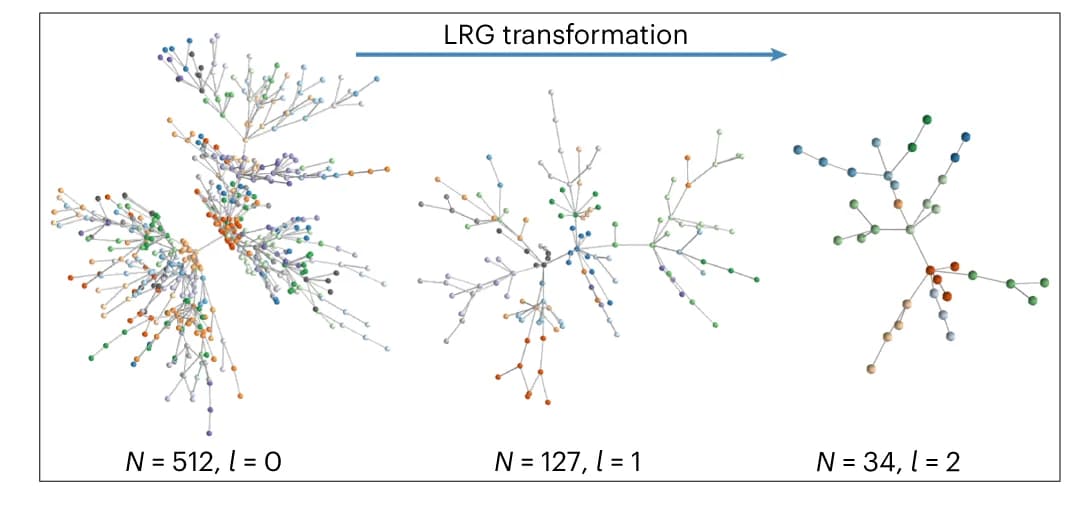 Open access visualization of Network, LRG Transformation, BA Network, Kadanoff Supernodes