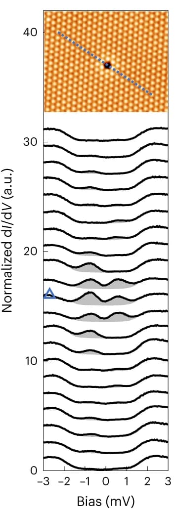 Open access visualization of Line Plot, Microscopy, STS, Spectra, Tin Atom