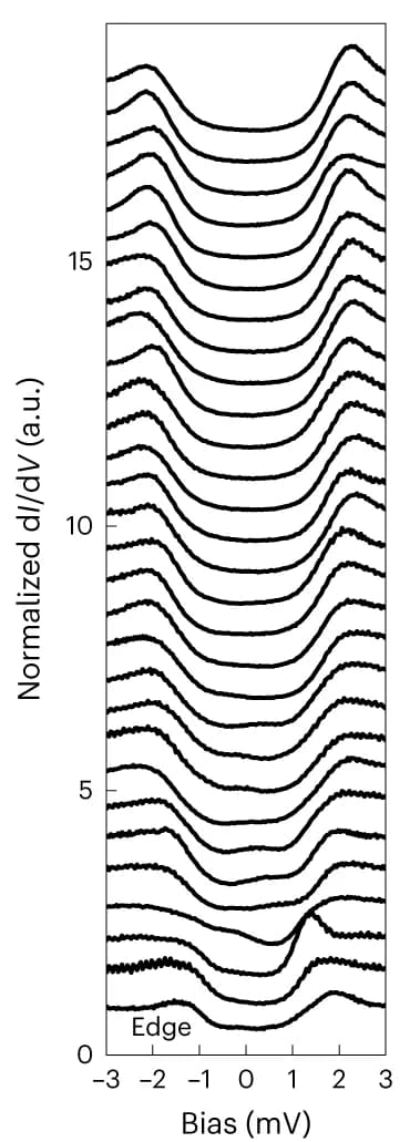 Open access visualization of Line Plot, Ridge Plot, STS Spectra, Domain Boundary