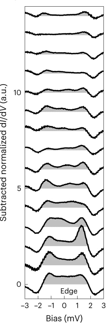 Open access visualization of Line Plot, Ridge Plot, Spectra, Edge-State