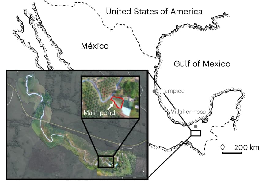 Open access visualization of Geo Map, Field Site, Map, Pond, Videos