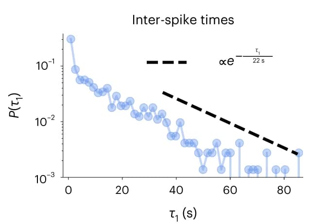 Open access visualization of Line Plot, Distributions, Characteristic Times, Empirical Data, Gamma Distributions