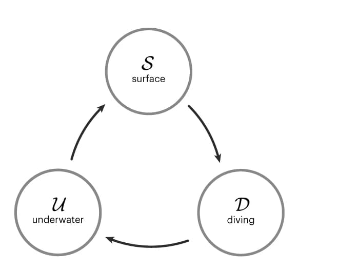 Open access visualization of Flowchart, Workflow, Fish, Respiration, Diving