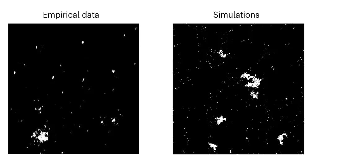 Open access visualization of Microscopy, Videos, Numerical Simulations