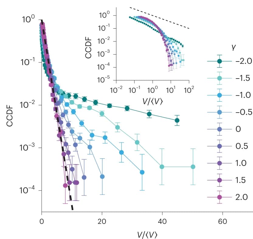 Open access visualization of Line Plot, Error Bars, Cluster Size Distributions, Scaling Exponent, Diffusion Coefficient