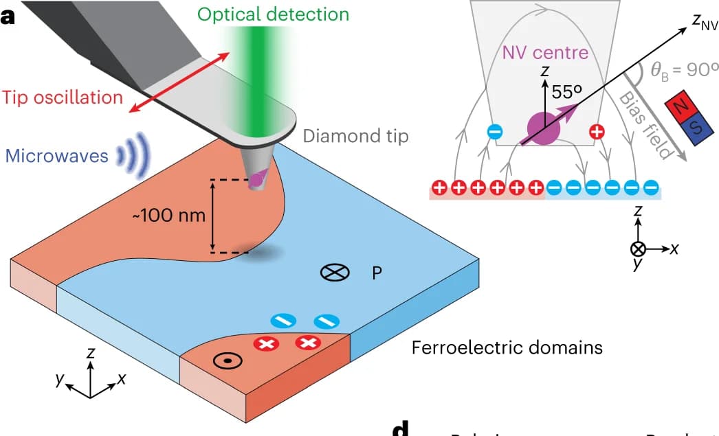 Open access visualization of Illustration, Tip, Sample, NV Spin, Magnetic Bias Field