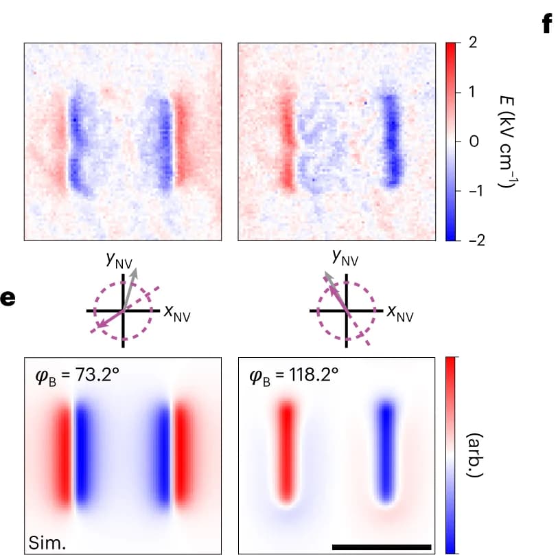 Open access visualization of Heatmap, NV Electrometry, Square Domain, In-Plane Field