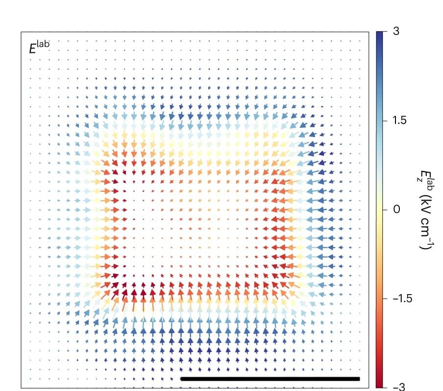 Open access visualization of Scatter Plot, Electric Field, Vector Plot, Laboratory Frame