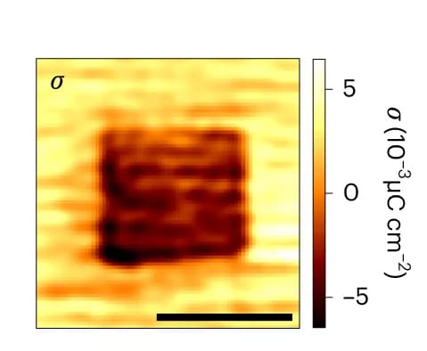 Open access visualization of Heatmap, Surface Charge Density, Square Domain, Reconstruction