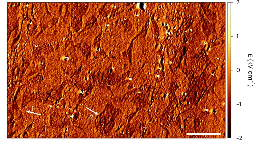 Open access visualization of Microscopy, NV Electrometry, YMnO3, Domains, Tip Oscillations