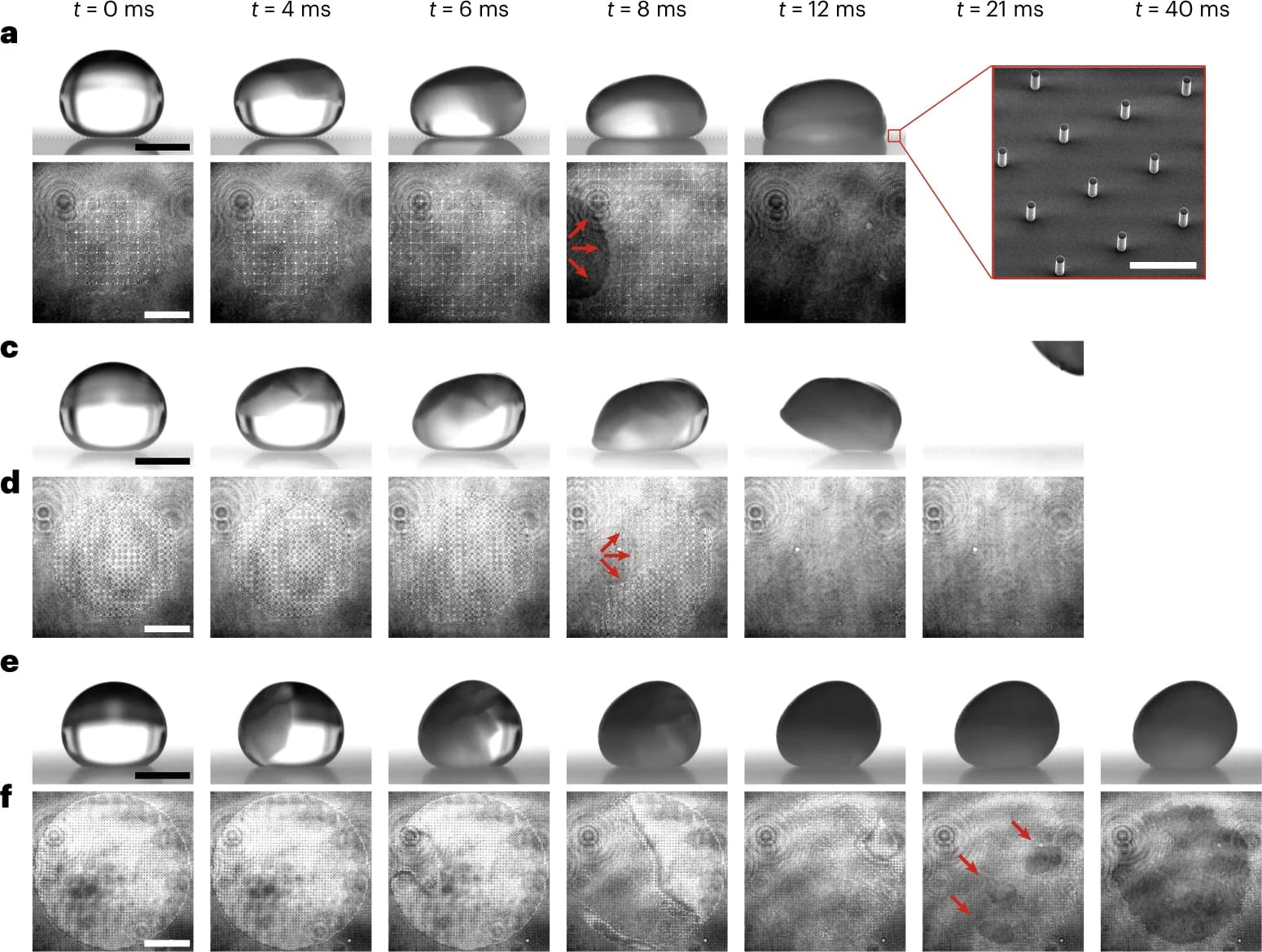 Open access visualization of Microscopy, Photo, Water Droplets, Freezing, Evaporative Cooling