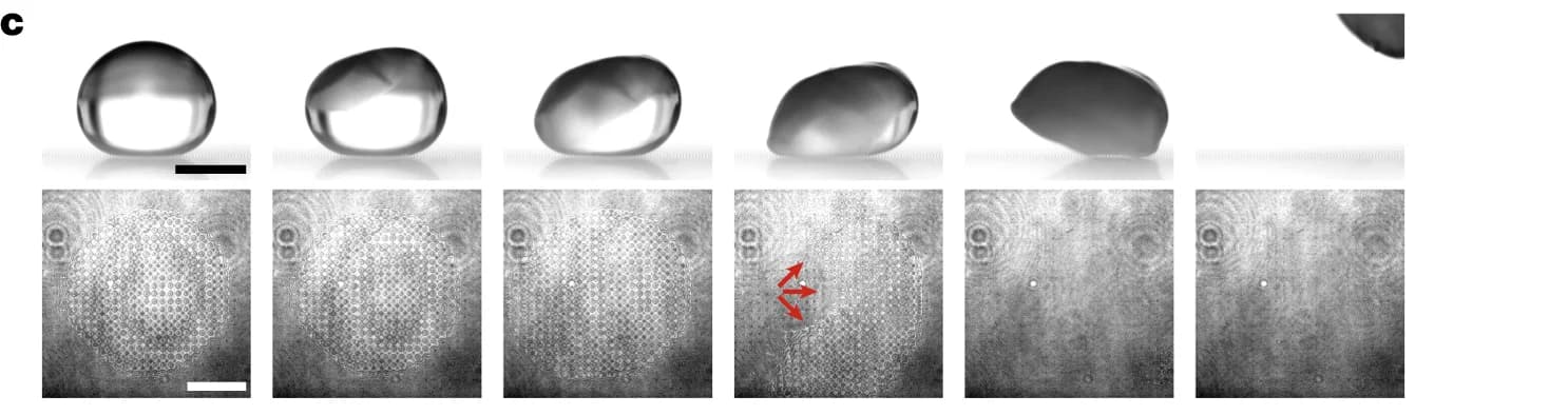 Open access visualization of Microscopy, Water Droplets, Freezing, Evaporative Cooling, Low-Pressure Environment