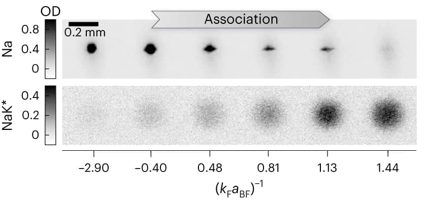 Open access visualization of Photo, Absorption Images, Optical Density, Na Atoms, Feshbach Molecules