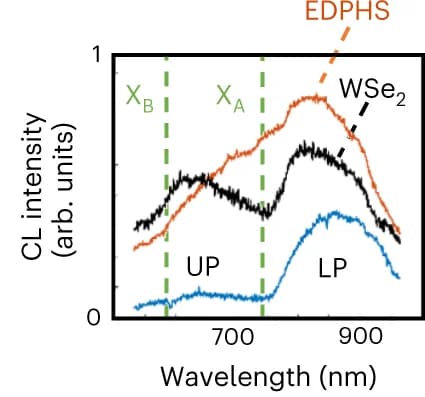 Open access visualization of Line Plot, CL Spectra, EDPHS, WSe2 Flake, Momentum Space