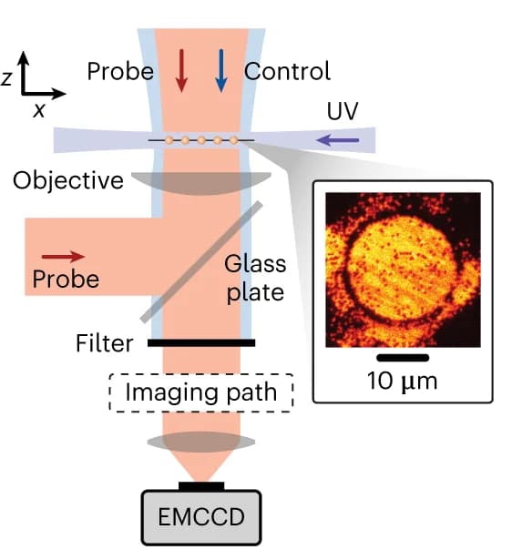 Open access visualization of Illustration, Microscopy, Atomic Array, Laser Beam, Transmission