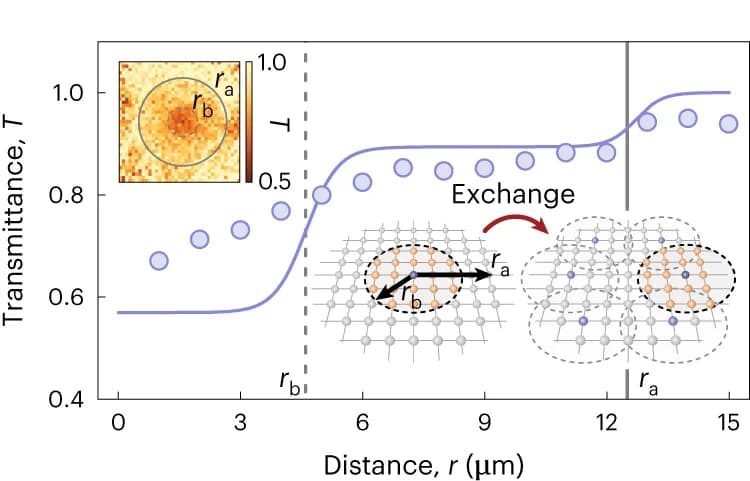Open access visualization of Line Plot, Scatter Plot, Heatmap, Illustration, Atoms