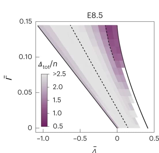 Open access visualization of Heatmap, Cell shape descriptors, Simulation, Experimental data
