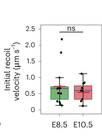 Open access visualization of Box Plot, Scatter Plot, Recoil Velocity, Laser Ablation, MannWhitney Test