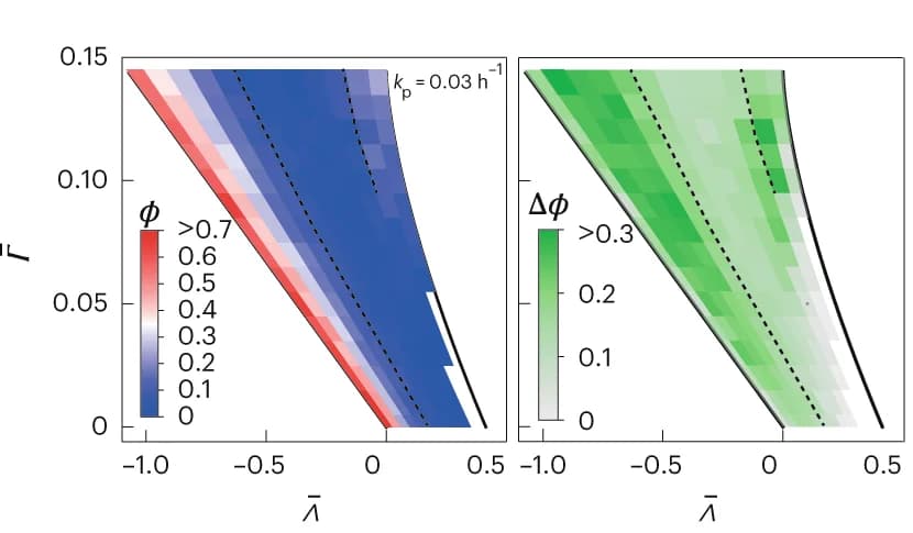 Open access visualization of Heatmap, Fragmentation Coefficient, Proliferation Rate, Simulations