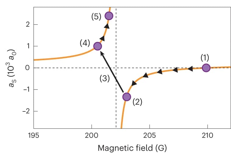 Open access visualization of Line Plot, Feshbach Resonance, Protocol, Molecule Preparation, Experimental Protocol
