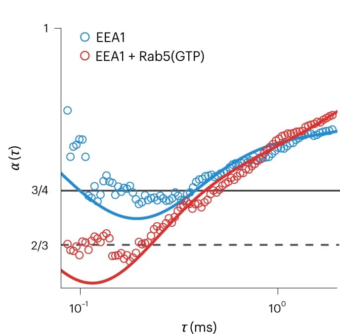 Open access visualization of Scatter Plot, Line Plot, Regression Plot, EEA1, Rab5