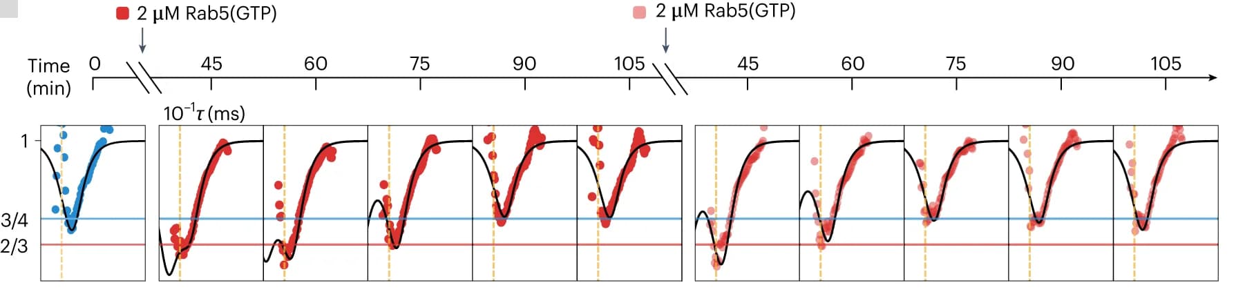Open access visualization of Scatter Plot, Line Plot, EEA1, Entropic Collapse, Rab5(GTP)