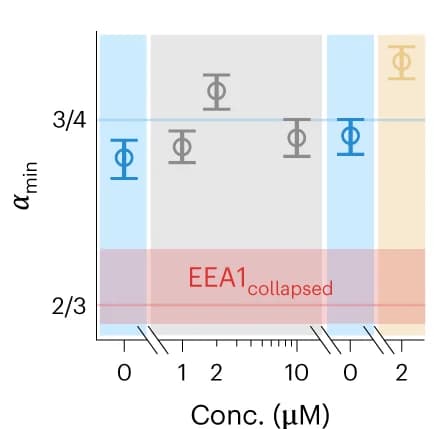 Open access visualization of Scatter Plot, Error Bars, EEA1, Rab5(GDP), GST