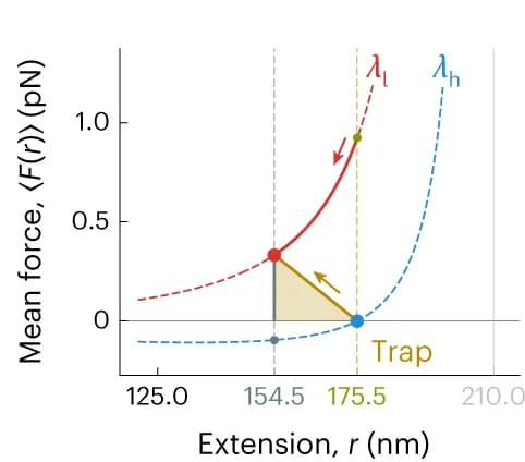 Open access visualization of Line Plot, EEA1 Motor System, Mechanical Work, Optical Tweezers, EEA1-Rab5 Complex