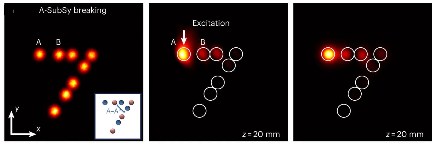 Open access visualization of Microscopy, Experimental Images, Lattice, Waveguide, Intensity Patterns