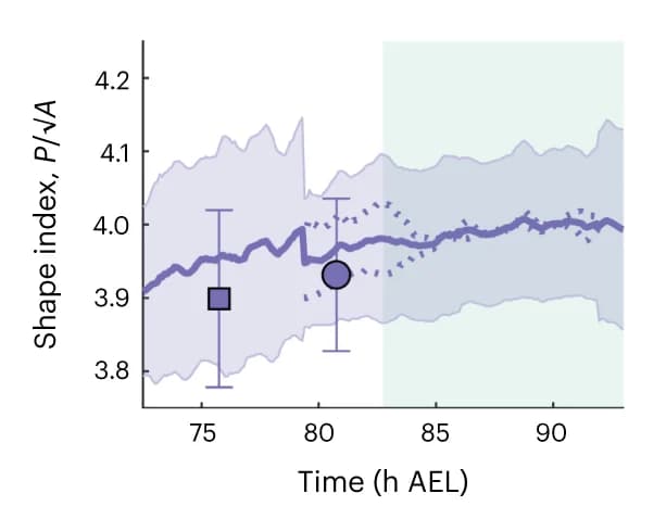 Open access visualization of Line Plot, Error Bars, Scatter Plot, Cell Shape Index, Time