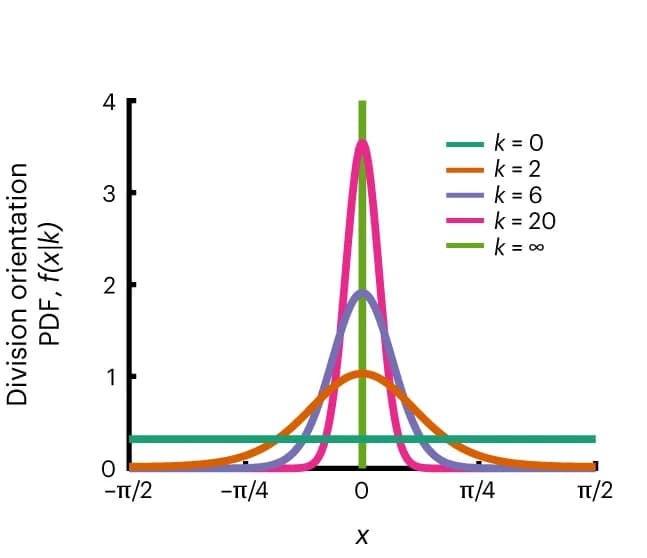 Open access visualization of Line Plot, Density Plot, Von Mises Distributions, Division Orientations, Simulation